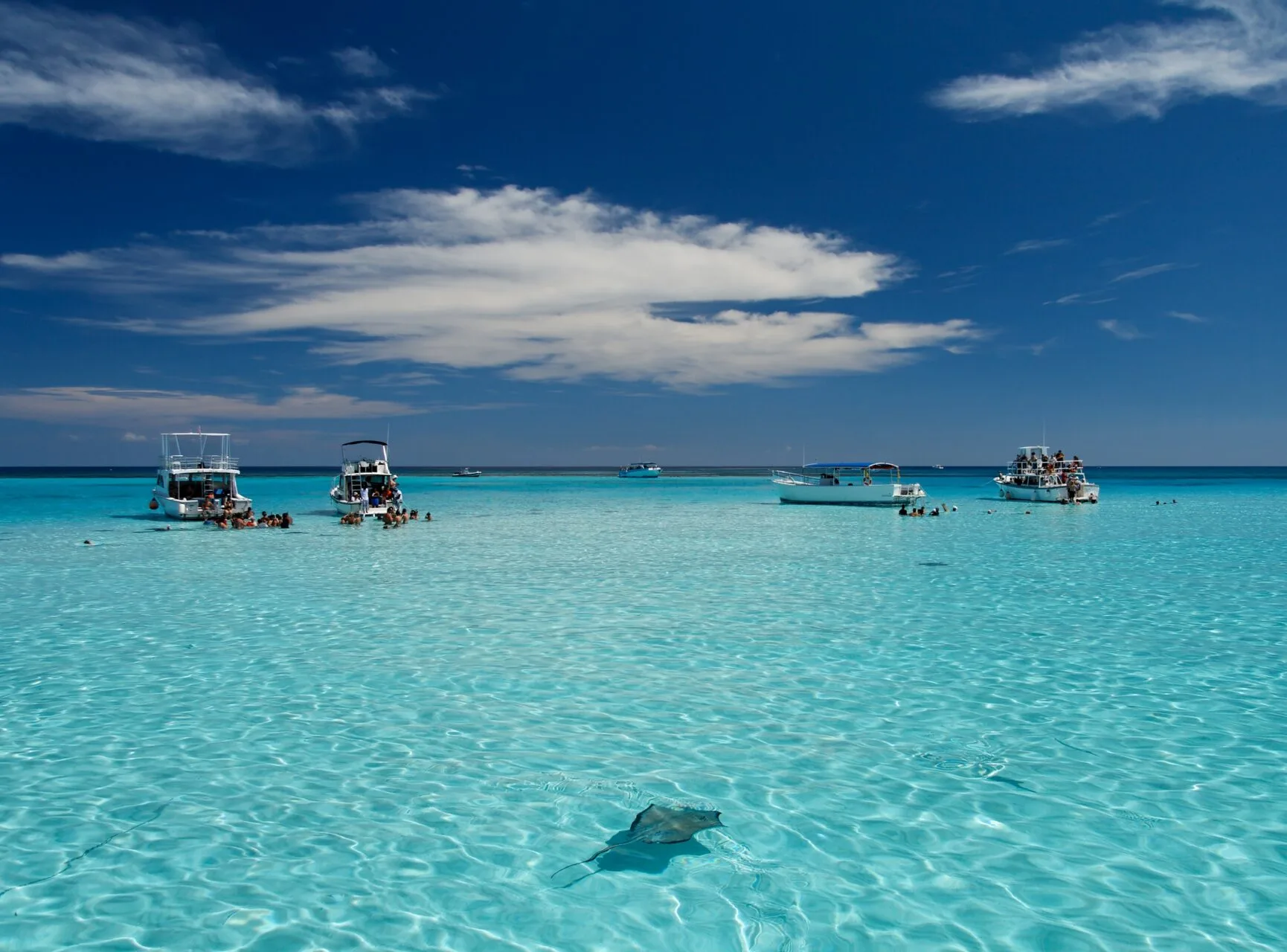 Stingray City